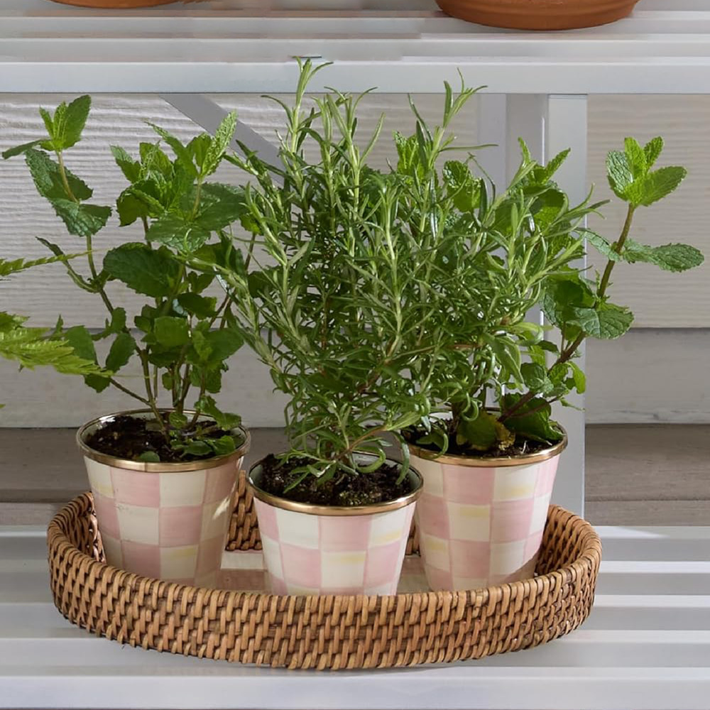 MACKENZIE-CHILDS Herb Pots in Rosy Check Set of 3 - Picture 2 of 11